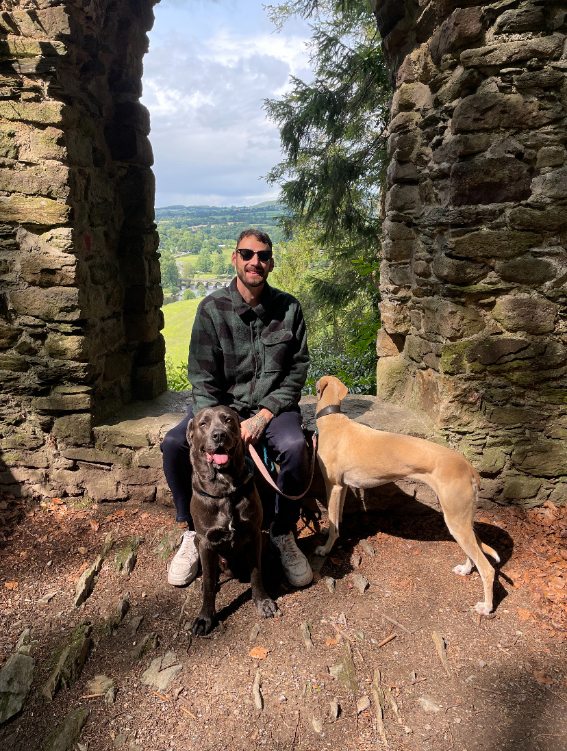 Dog training session